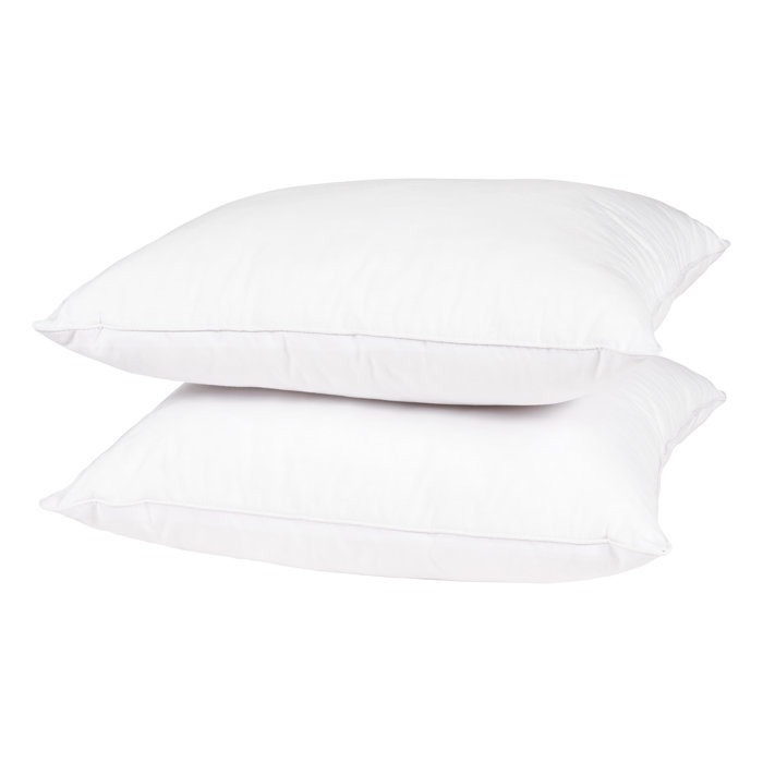 Wayfair Basics® Didomenico Euro Square Pillow Insert Wayfair